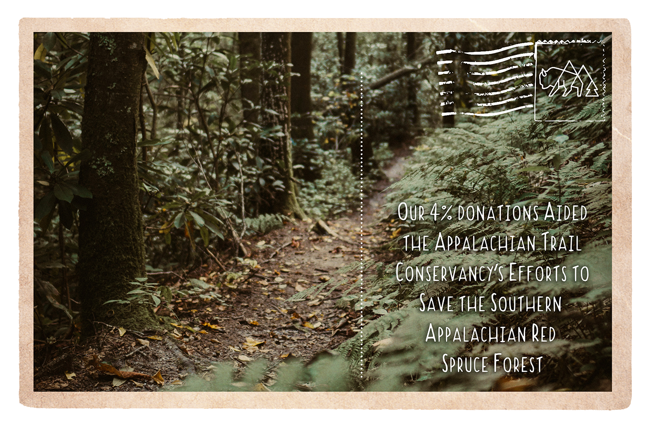Appalachian Trail Conservancy: Saving the Southern Appalachian Red Spruce Forest