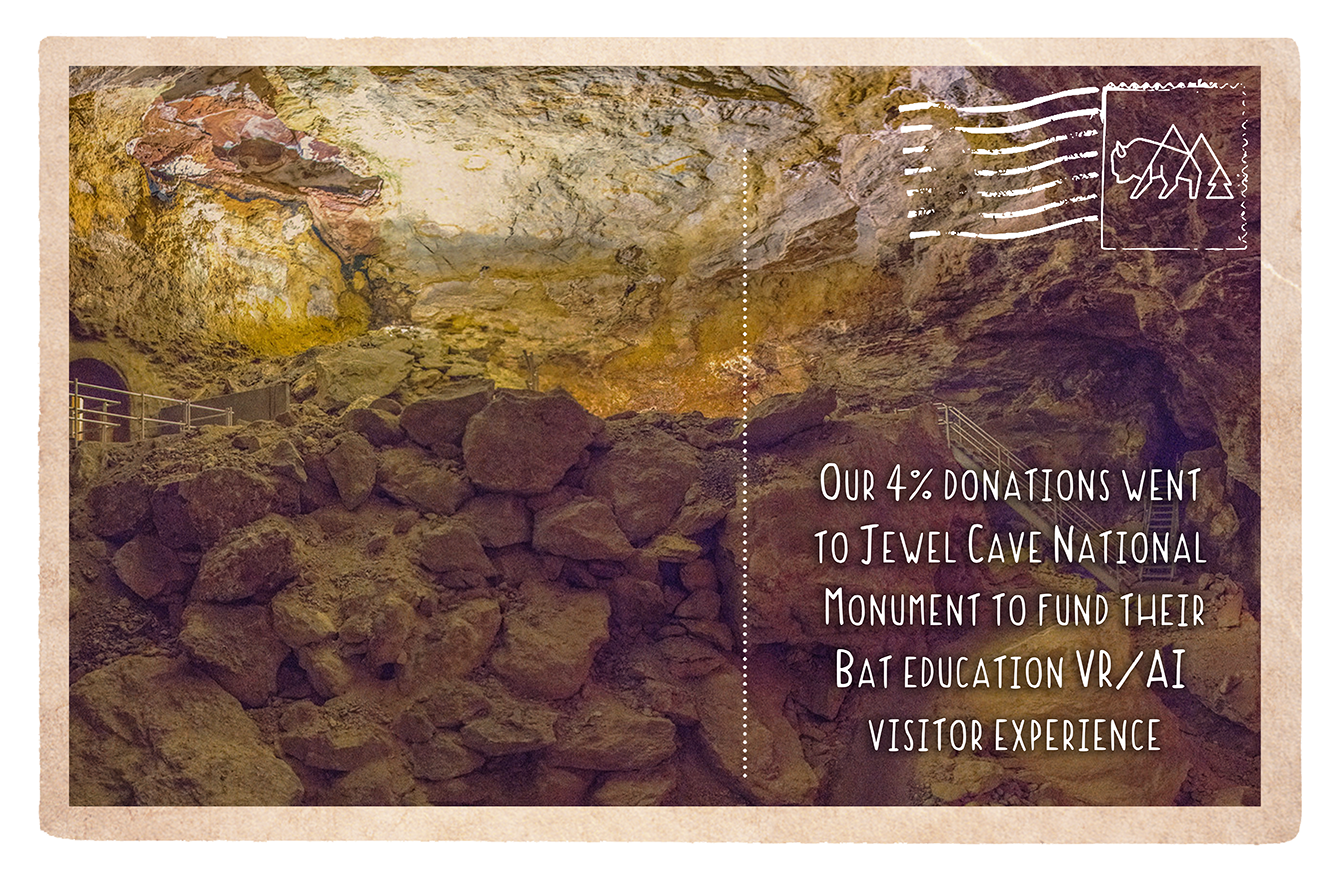 Jewel Cave Bat Virtual Reality Experience