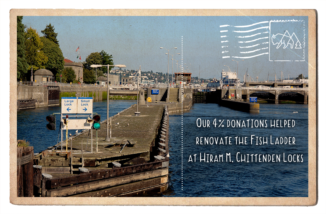 Renovation of Fish Ladder at Hiram M. Chittenden Locks