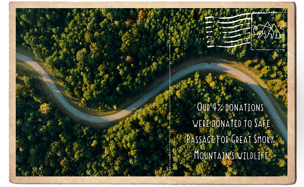 Supporting Safe Passage for Great Smoky Mountain's Wildlife