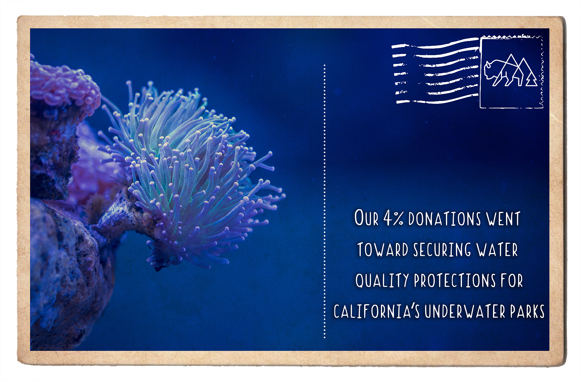 Securing Water Quality Protections for California's Underwater Parks