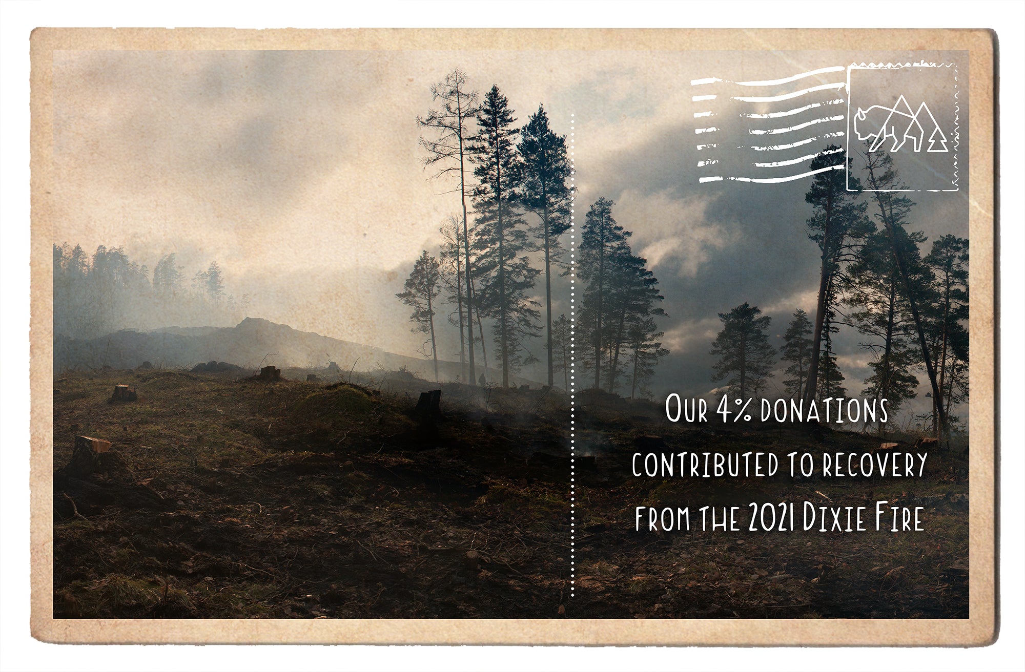 Recovery from the 2021 Dixie Fire in Lassen National Park