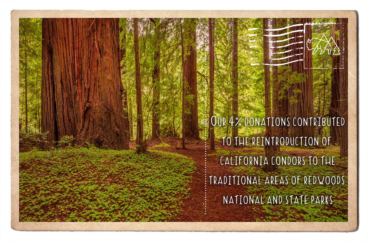 Reintroduction of California Condors to Redwoods National and State Parks