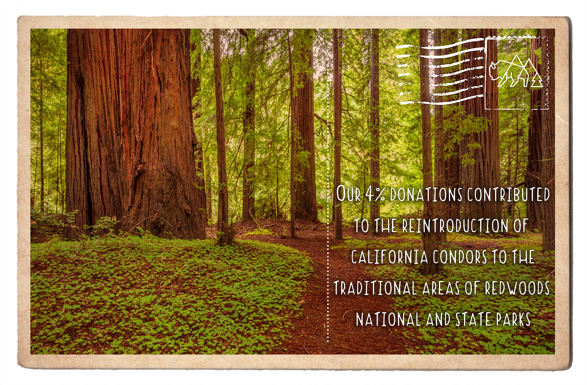 Reintroduction of California Condors to Redwoods National and State Parks