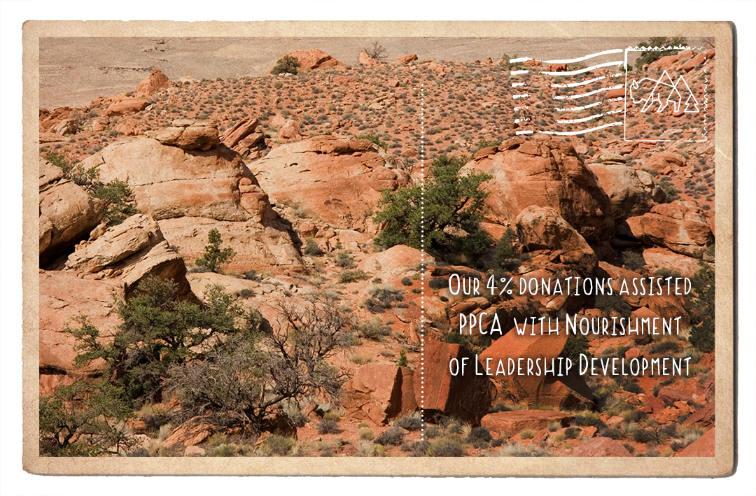 Nourishment of Leadership Development