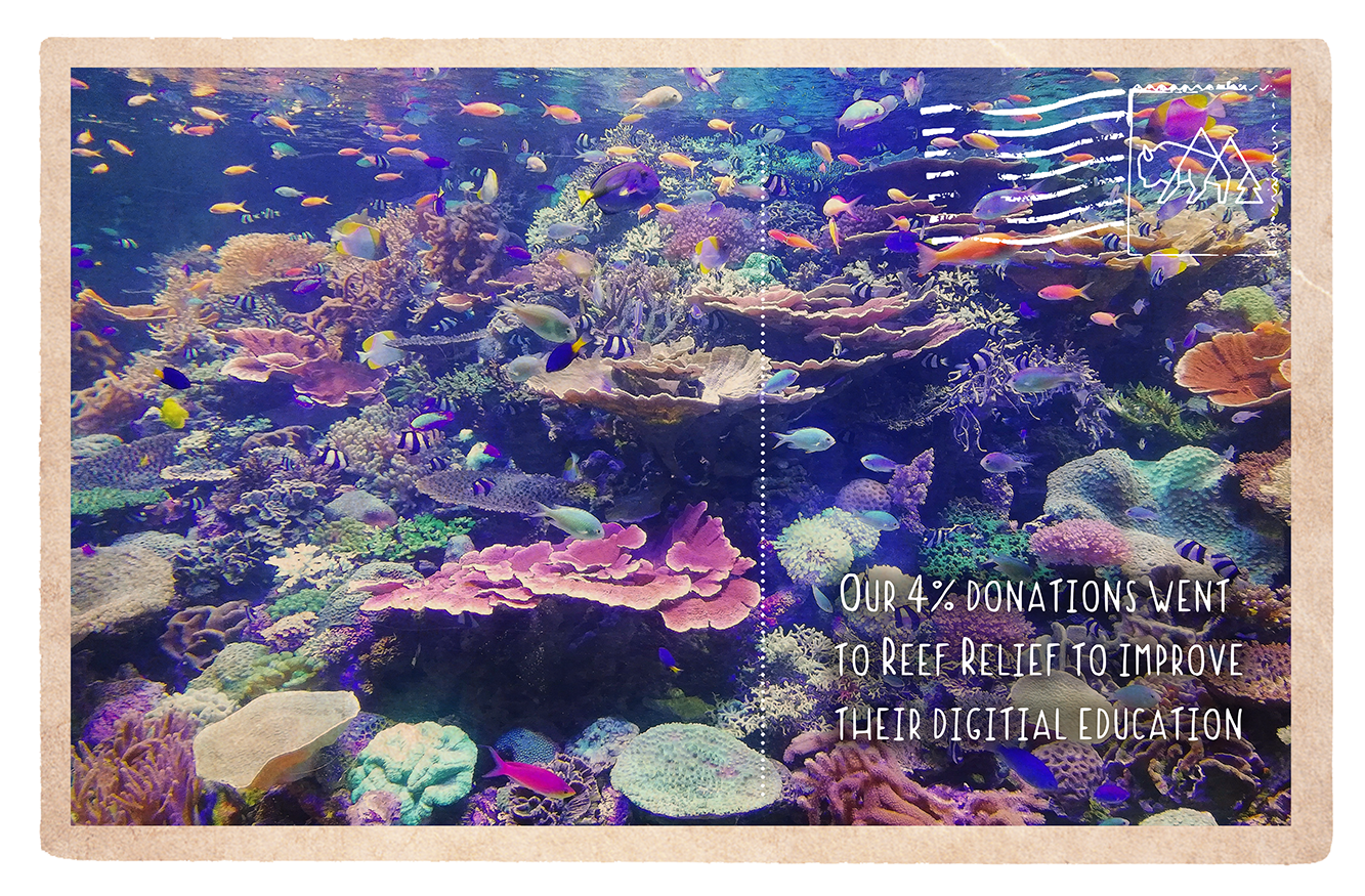 Improving Reef Relief's digital education