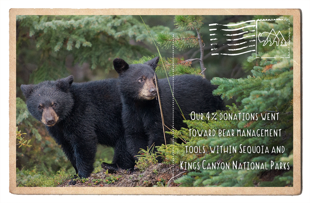 Repairing a Bear Trap in Sequoia and Kings Canyon National Parks
