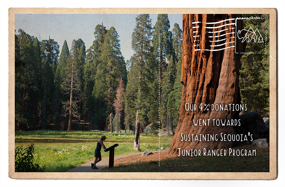 Sustaining Sequoia's Junior Ranger Program