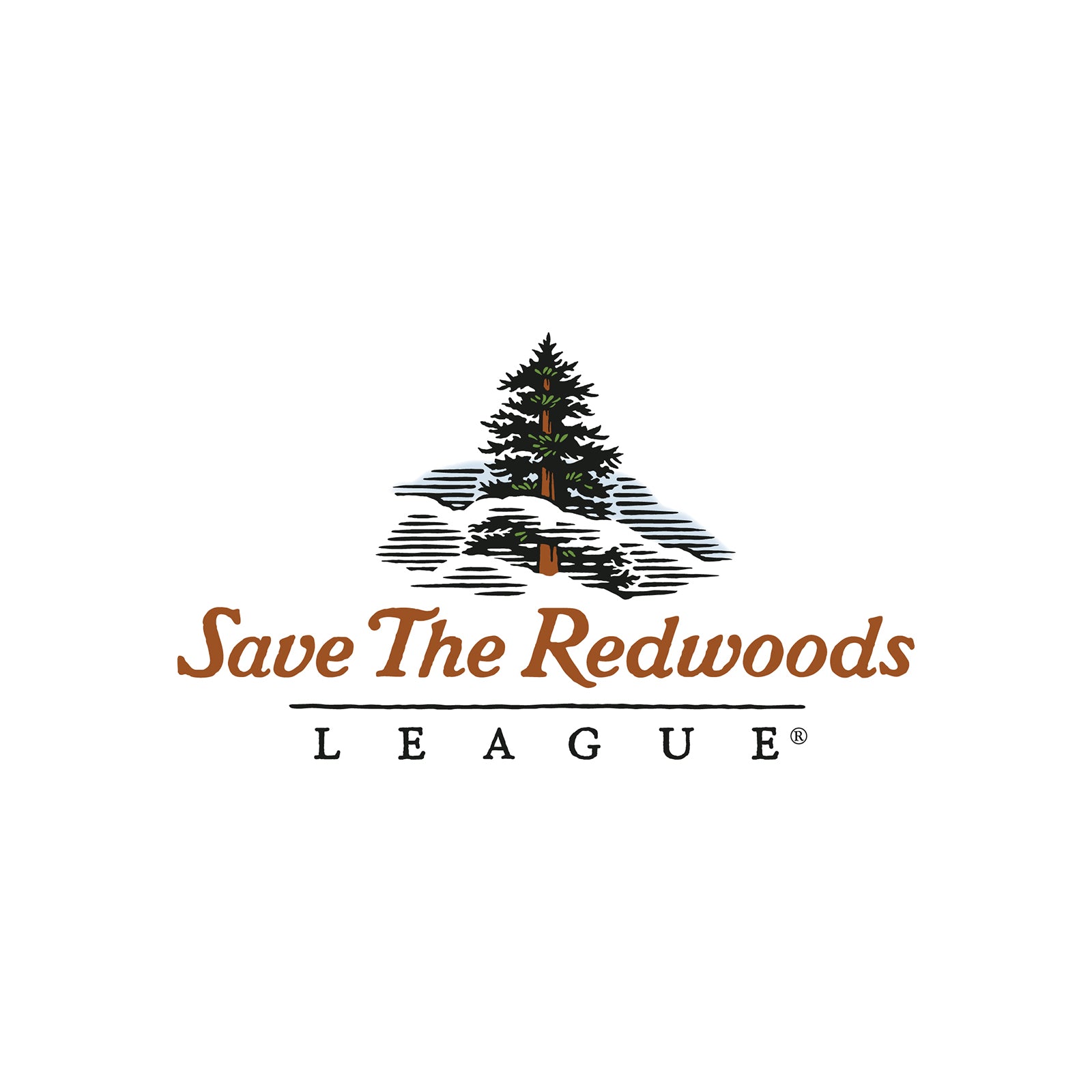 Bigfoot in the redwoods - Save the Redwoods League