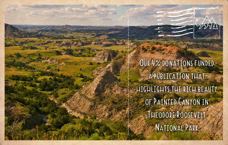 TNRP Painted Canyon Publication