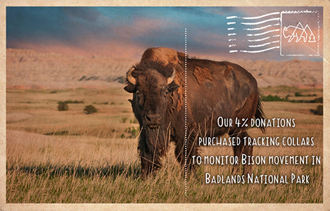 Tracking Collars in Badlands National Park