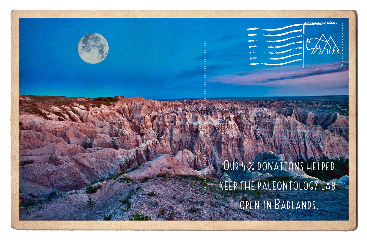 Enriching Fossils in the Badlands