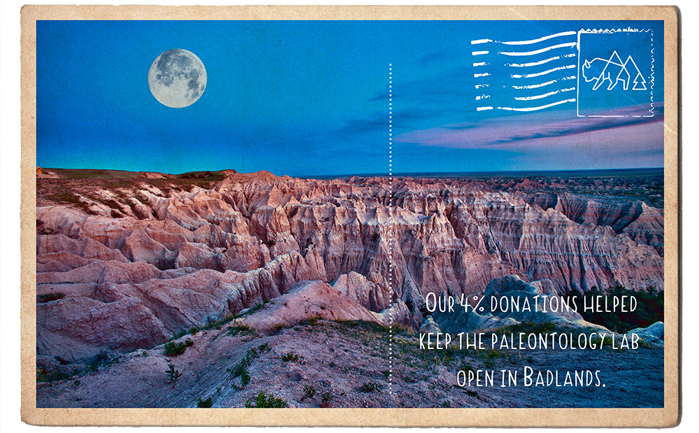 Enriching Fossils in the Badlands