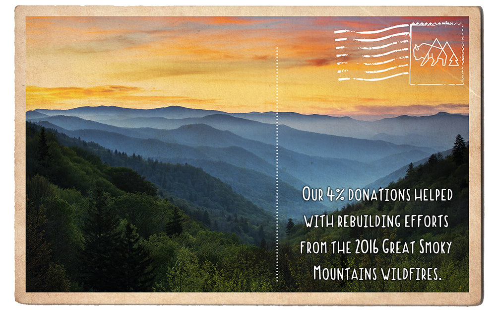 Rebuilding Great Smoky after the Wildfires