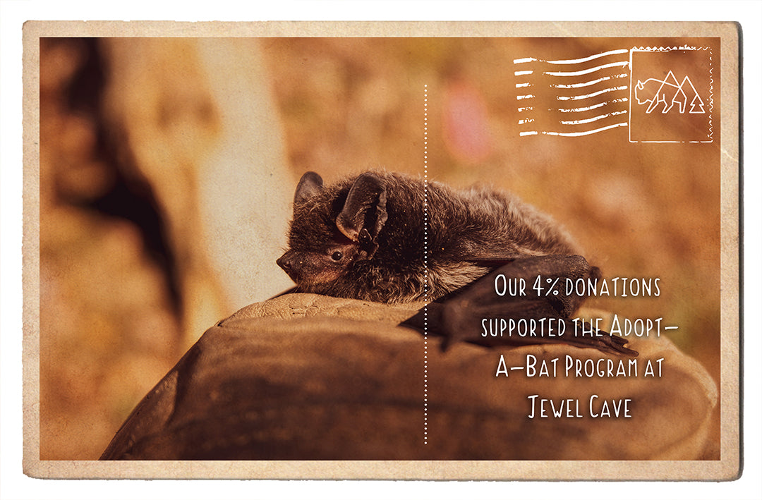 Adopt-a-Bat Program at Jewel Cave