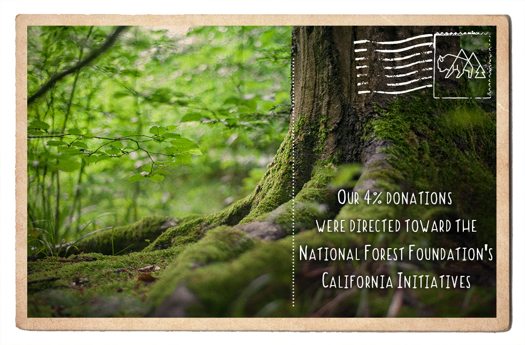 National Forest Foundation's California Initiatives