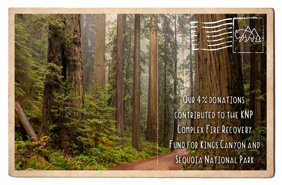 Kings Canyon and Sequoia National Park Complex Recovery Fund