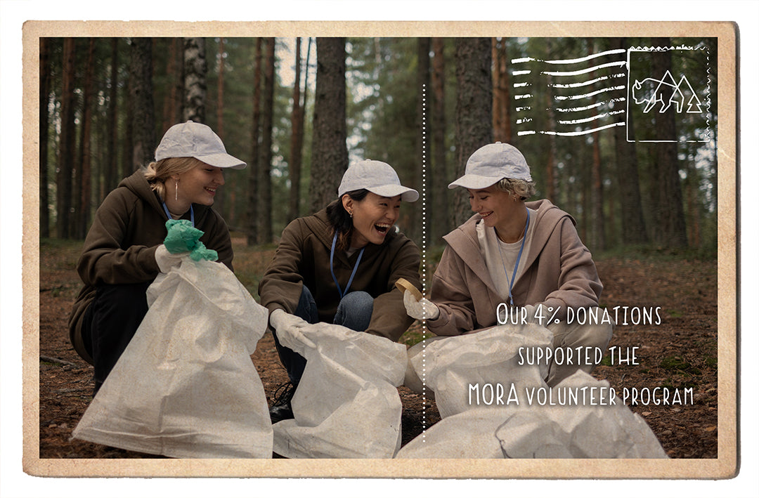 Mt Rainier's MORA Volunteer Program