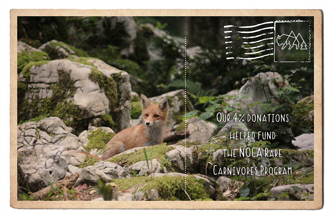 North Cascades National Park Rare Carnivores Program