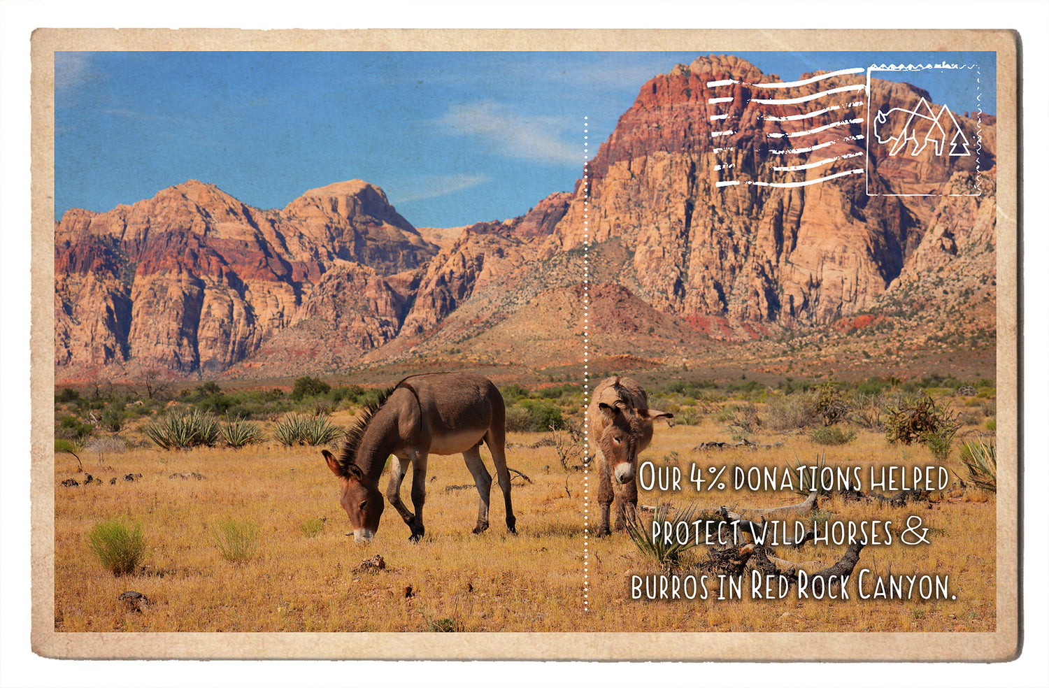 Protect Wild Horses and Burros in Red Rock Canyon