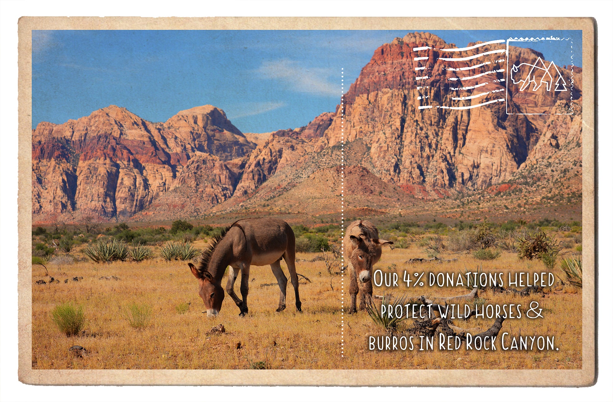 Protect Wild Horses and Burros in Red Rock Canyon