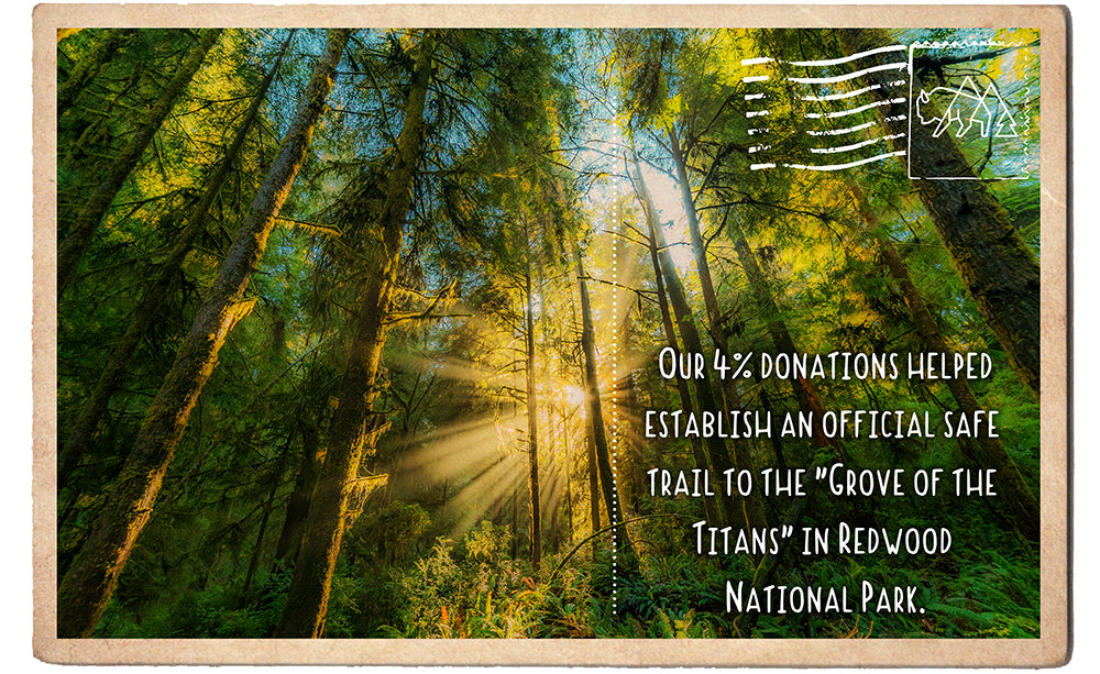Official Safe Trail to the Grove of the Titans in Redwood NP
