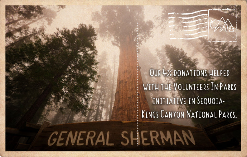 Volunteers In Parks initiative in Sequoia/Kings Canyon National Parks