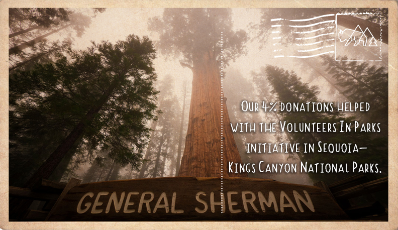 Volunteers In Parks initiative in Sequoia/Kings Canyon National Parks
