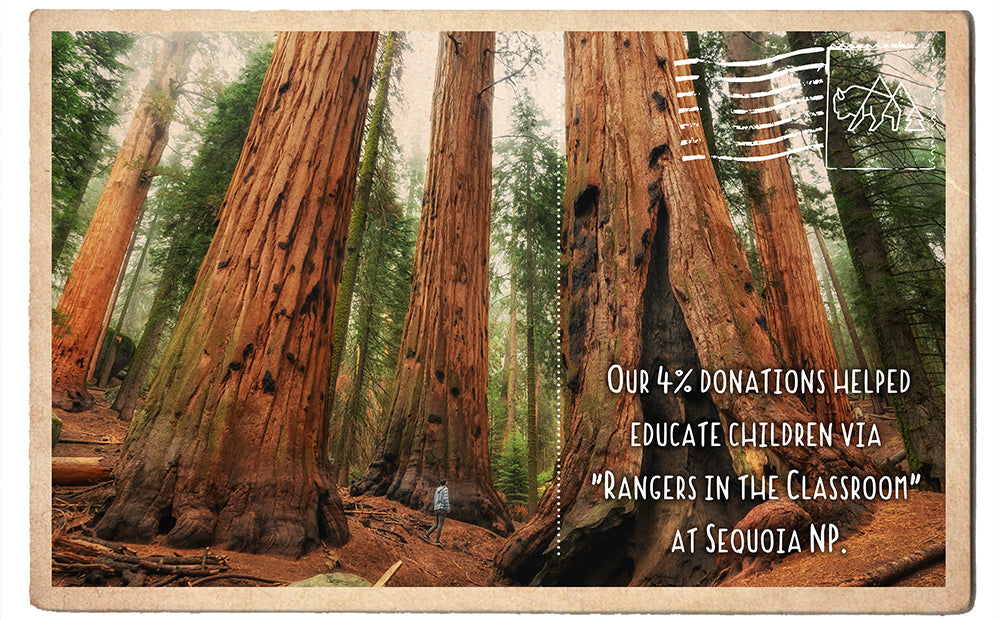 Rangers in the Classroom at Sequoia NP