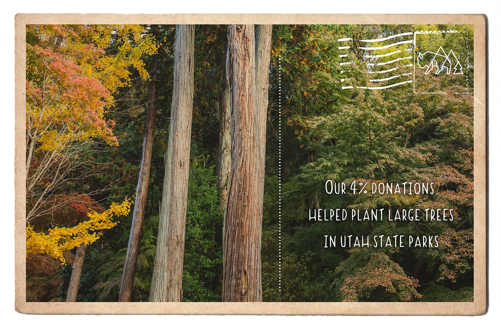 Donated to Utah State Parks Large Tree Planting Initiative