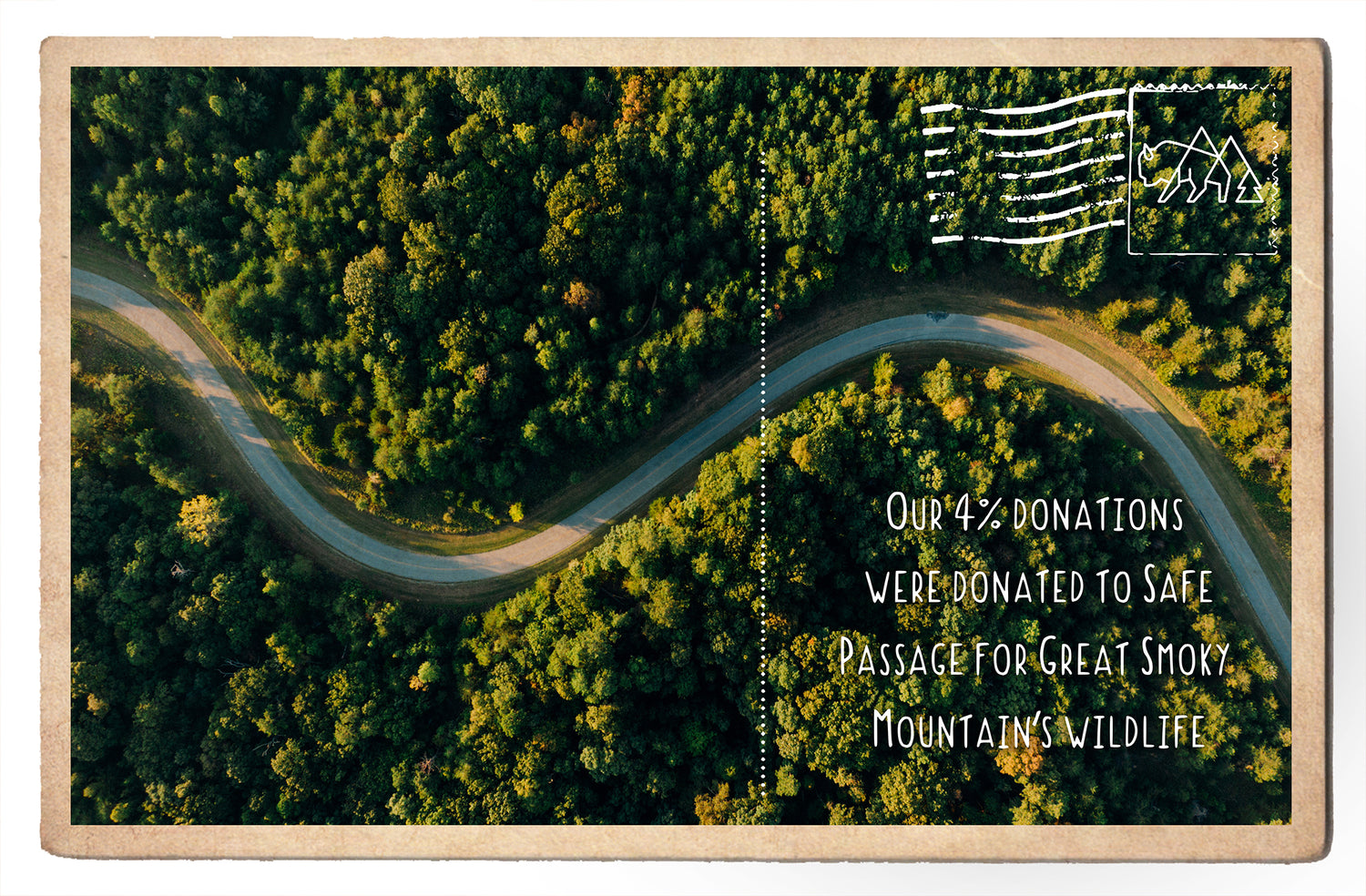 Supporting Safe Passage for Great Smoky Mountain's Wildlife