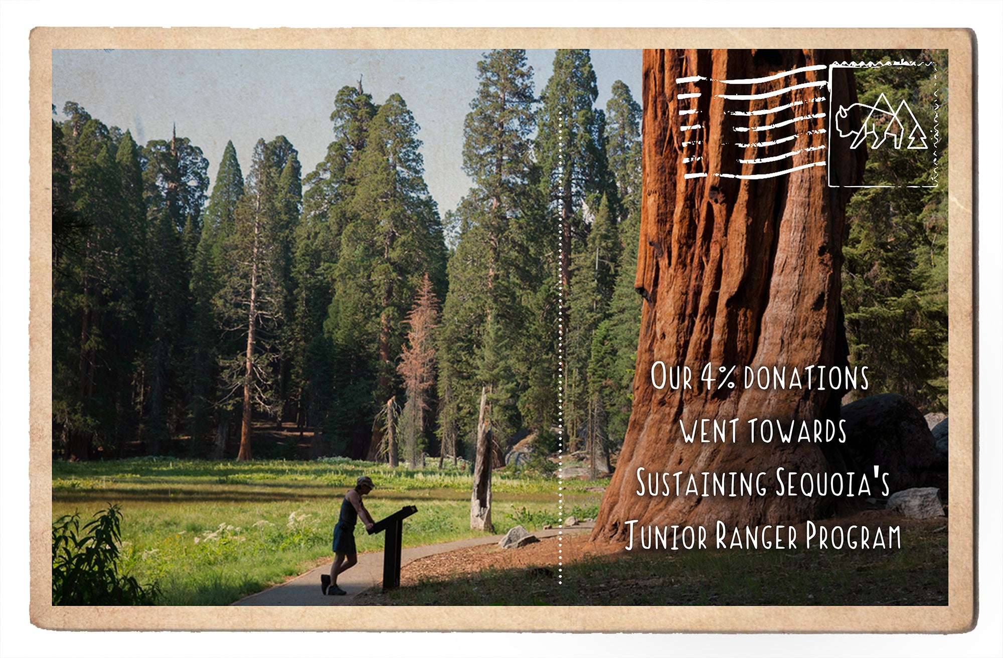 Sustaining Sequoia National Park's Junior Ranger Program