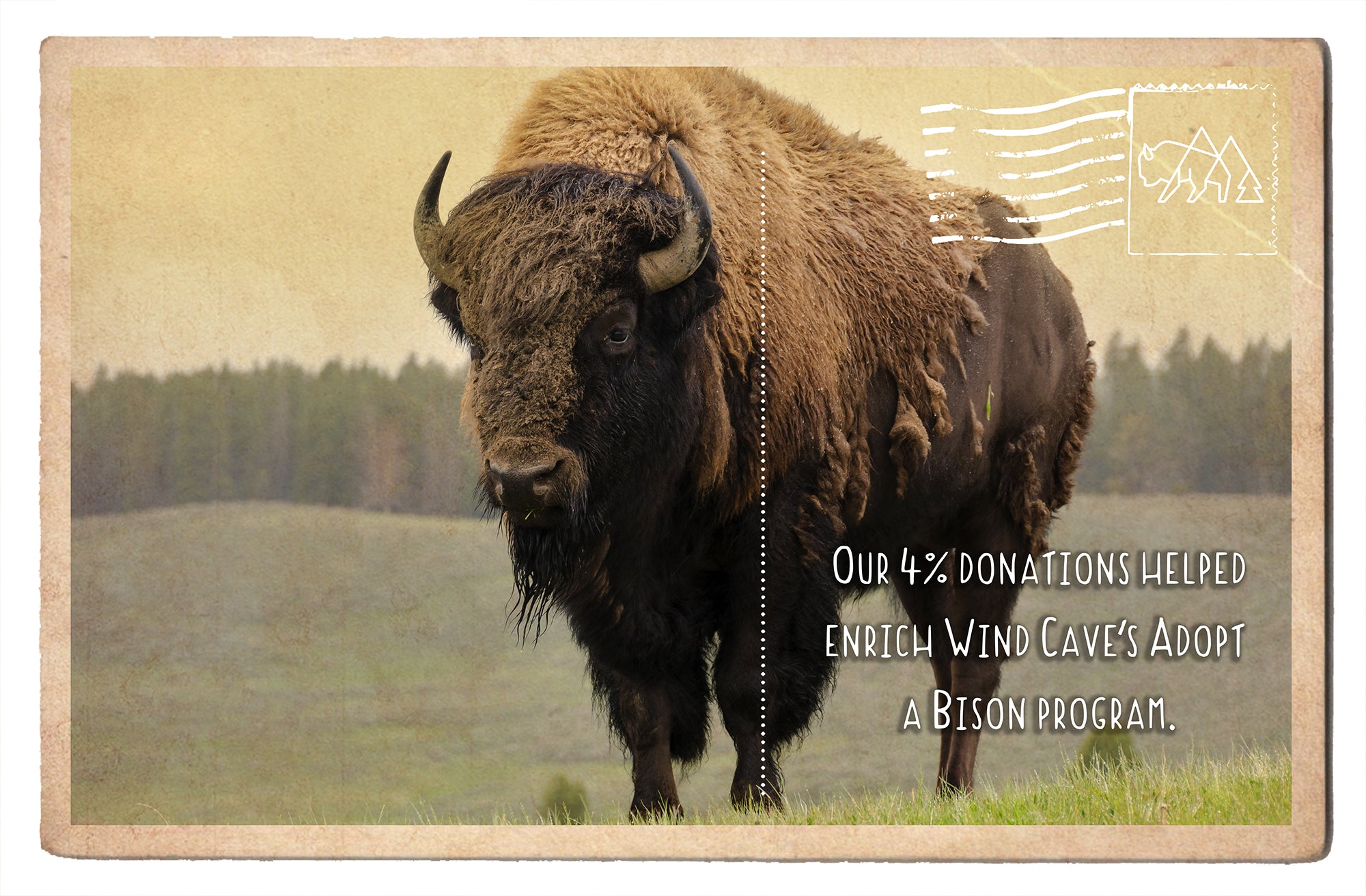 Wind Cave's Adopt a Bison Program