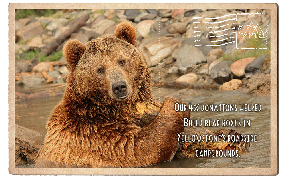 Bear Boxes in Yellowstone