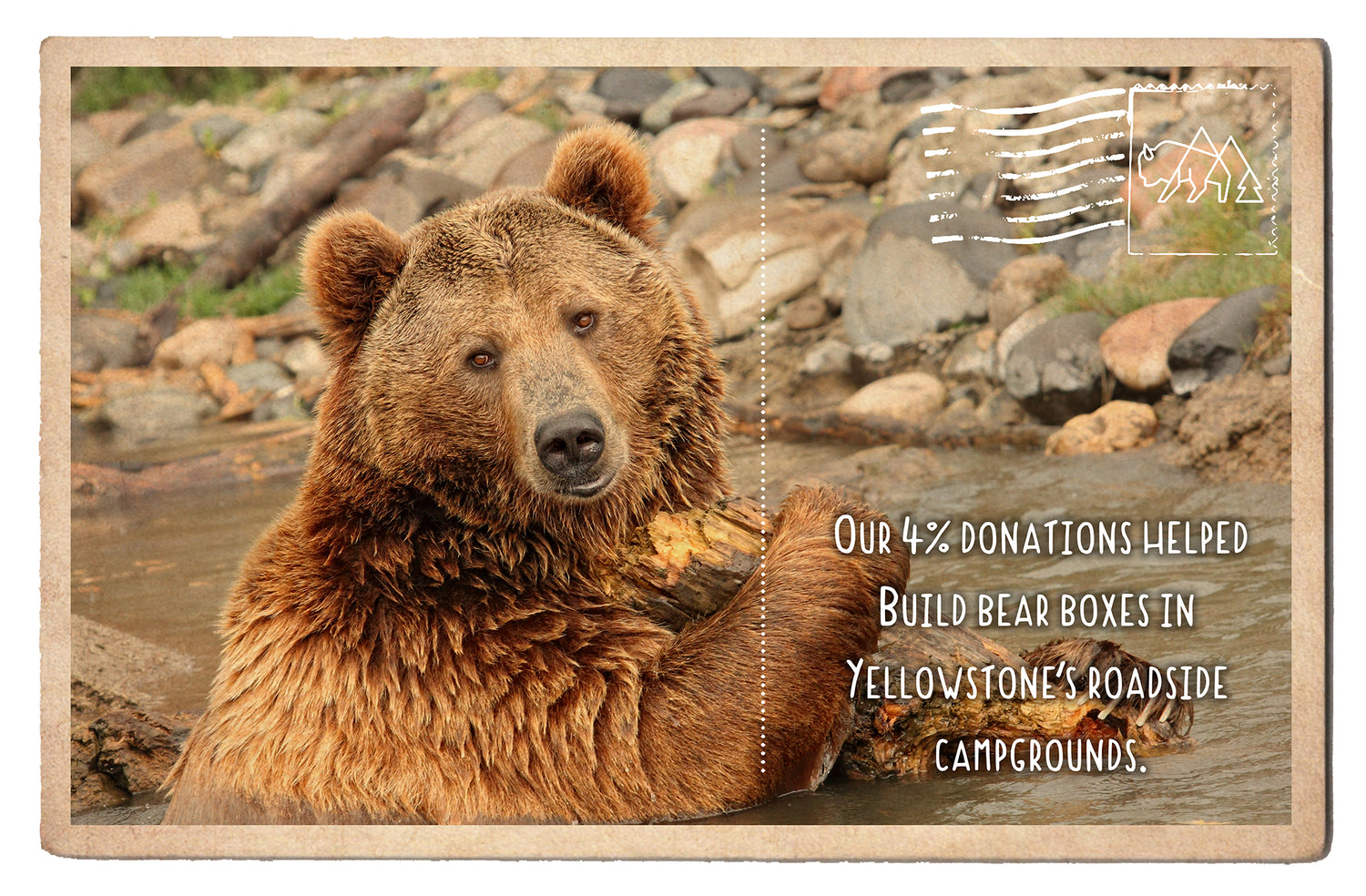 Bear Boxes in Yellowstone