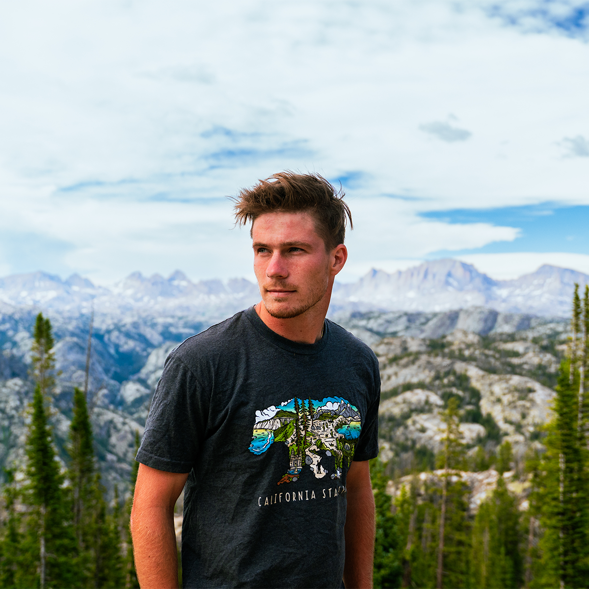 California State Parks Color Bear T-Shirt