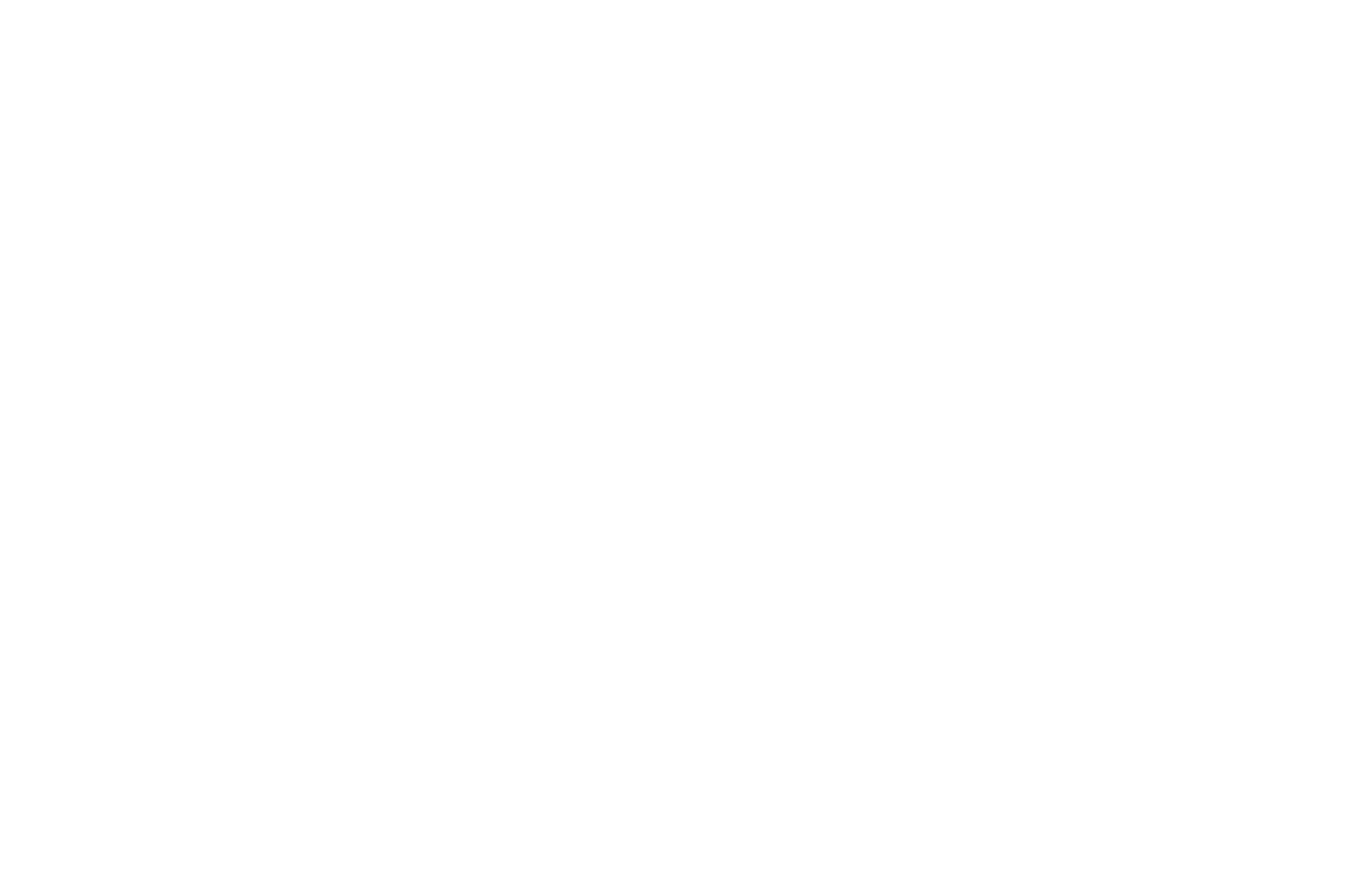 Wild Tribute logo