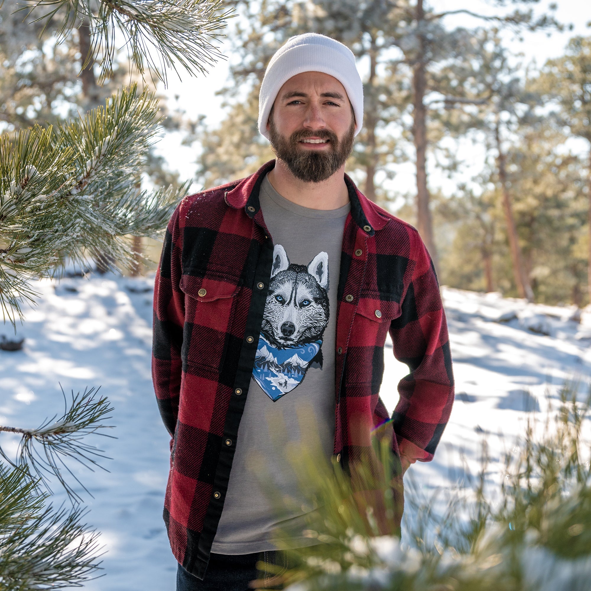 Denali The Mountain Dog T-Shirt