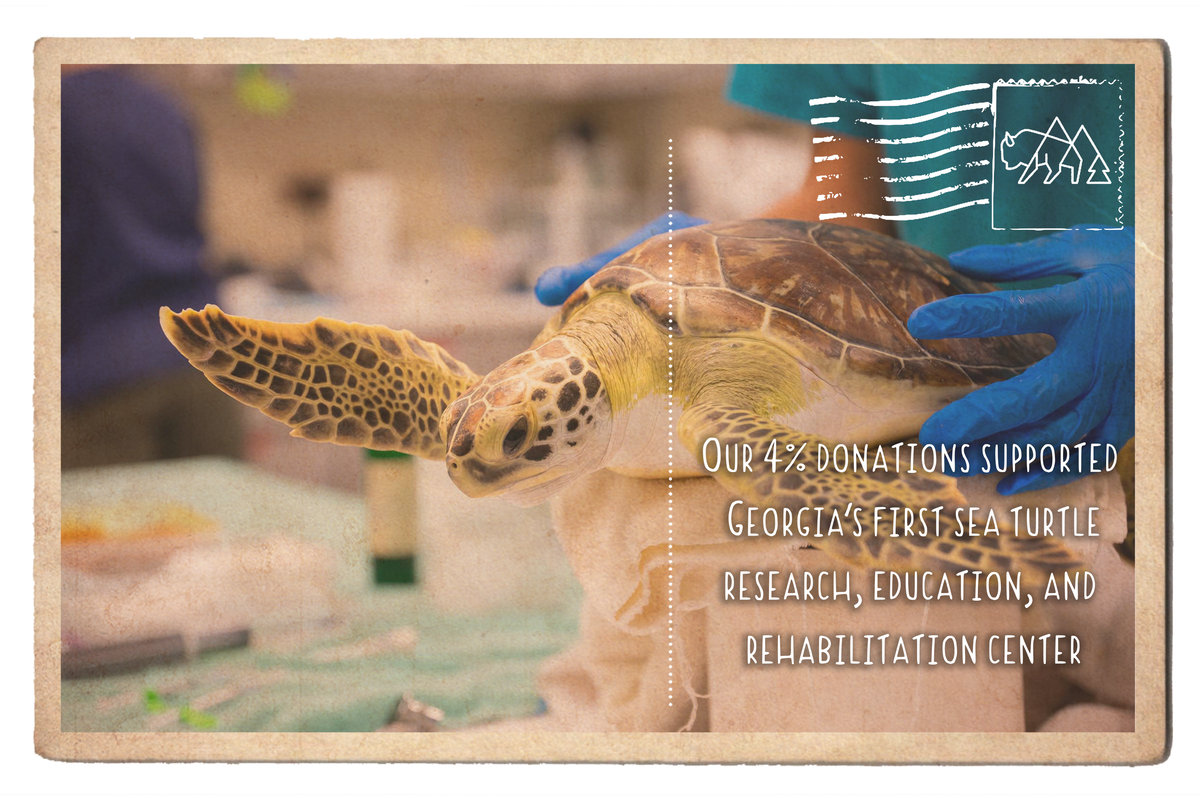 Turtle Learning Center Georgia's First Sea Turtle Center