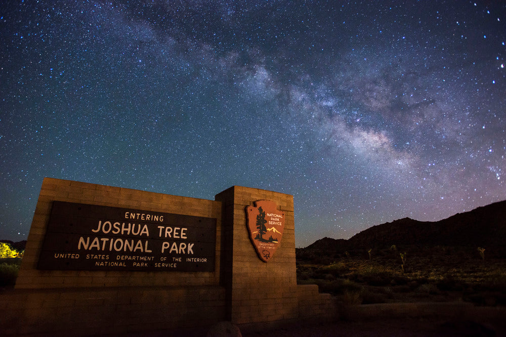 Trip Notes: Tips for Exploring Joshua Tree National Park