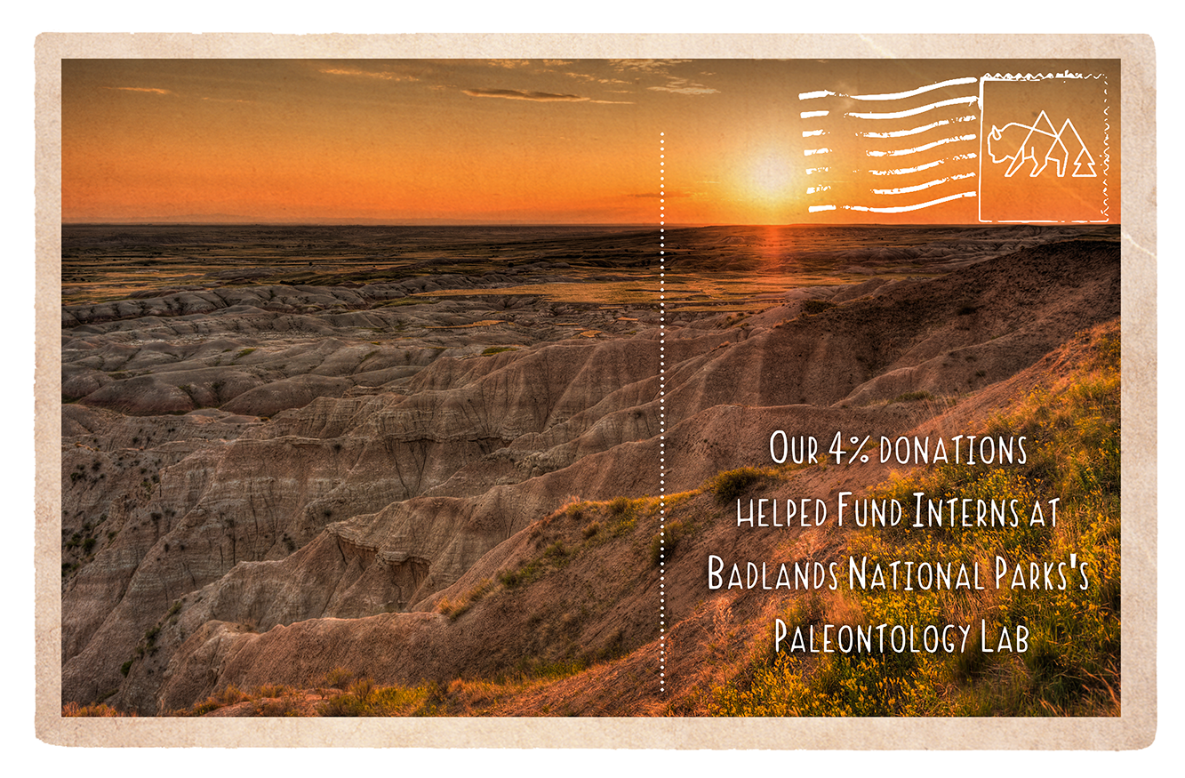 Badlands Natural History Association: Helping Fund Interns at Badlands Paleontology Lab