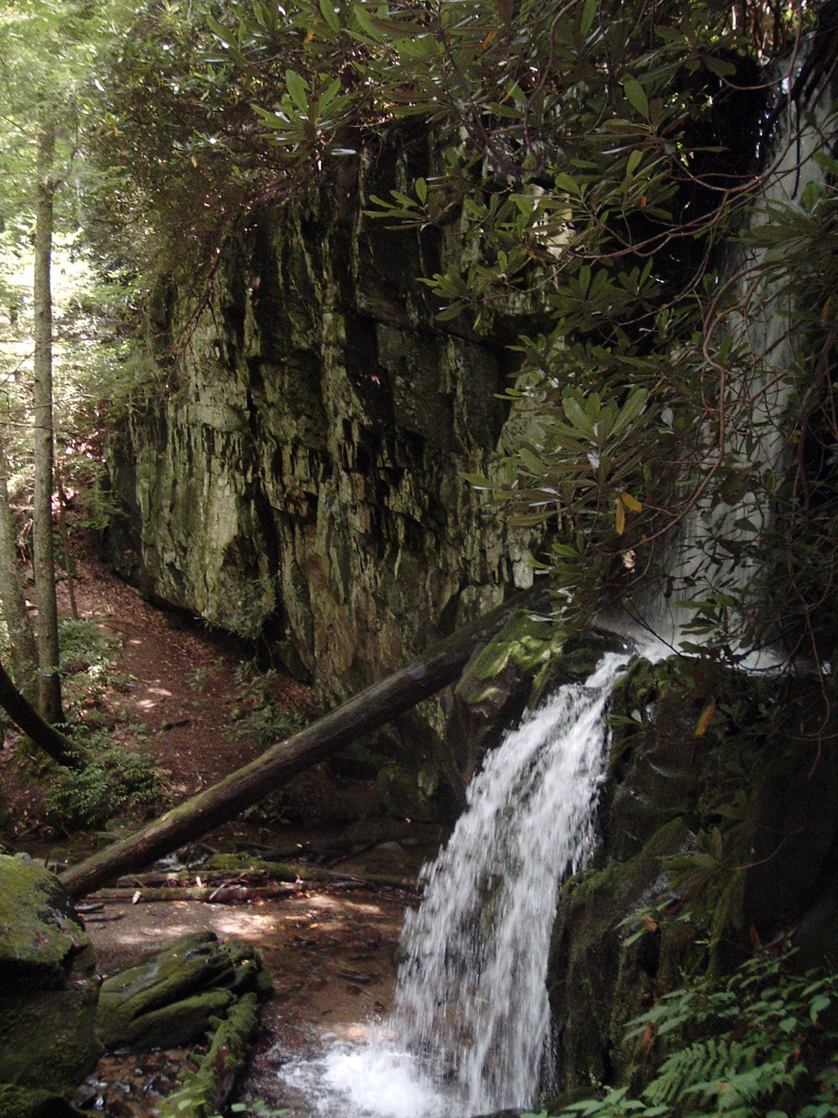 4 Underrated Hiking Trails in the Great Smokey Mountains