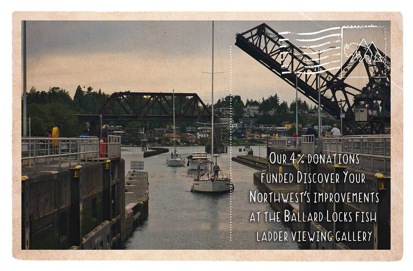 Improving Ballard Locks fish ladder viewing gallery