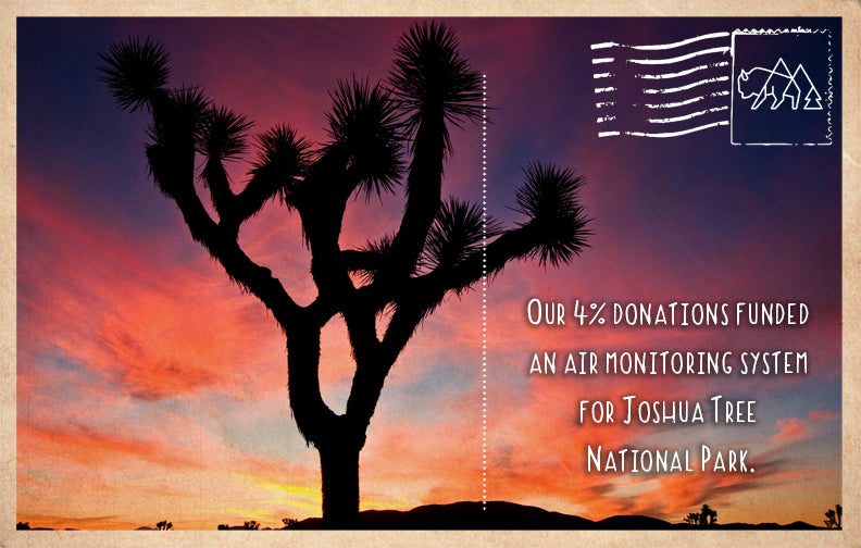 Air monitoring system for Joshua Tree National Park