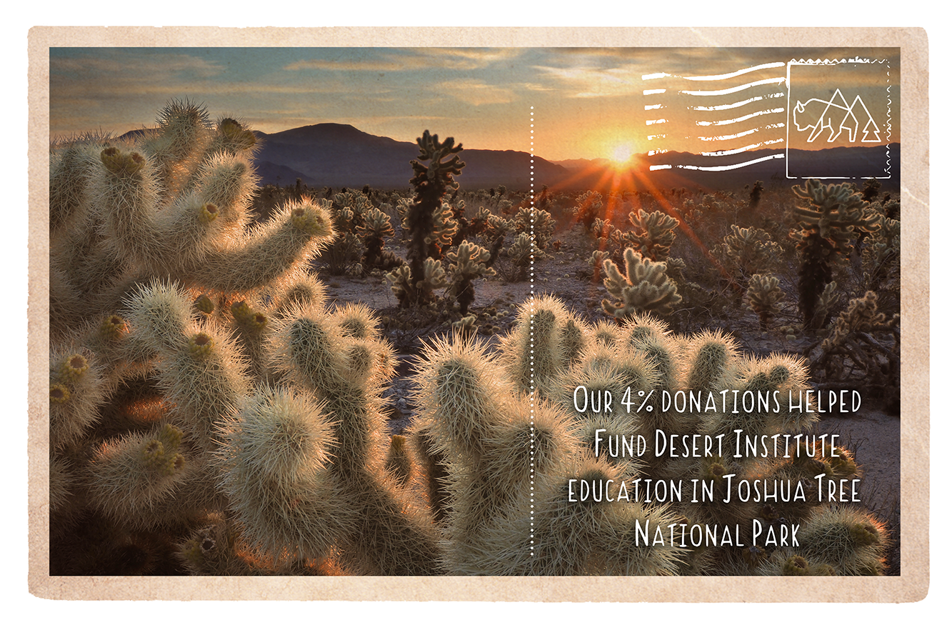 Desert Institute education programs in Joshua Tree National Park