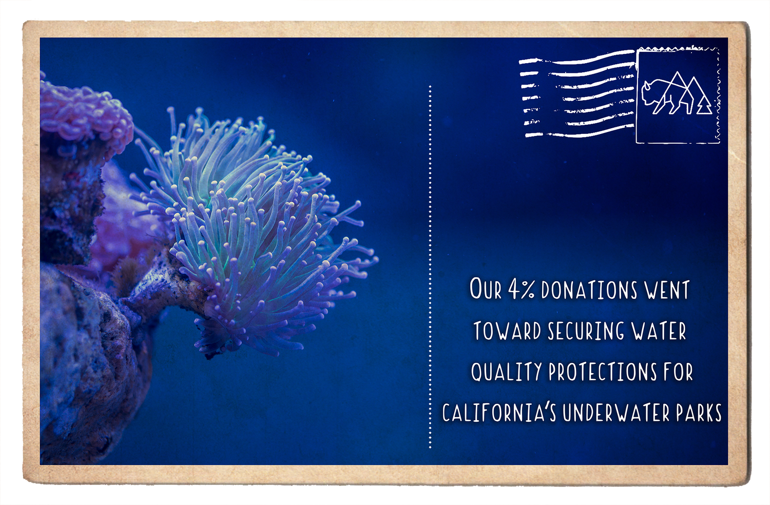 Securing Water Quality Protections for California's Underwater Parks