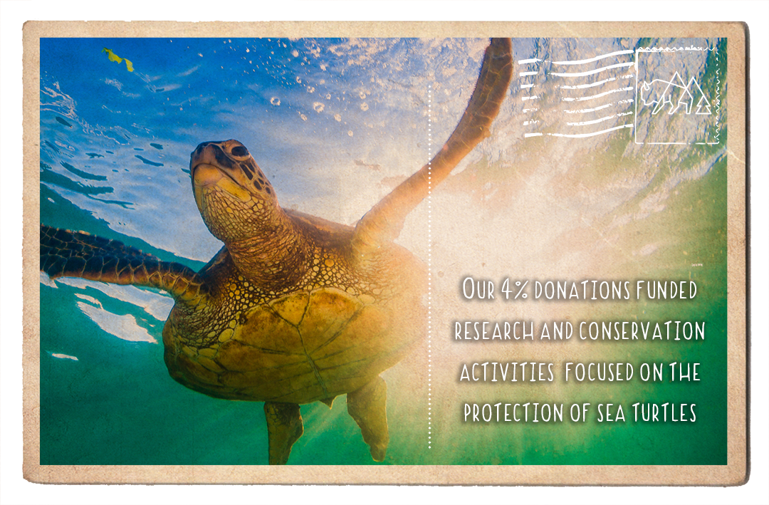 Sea Turtle Conservancy's Sea Turtle Protection Project