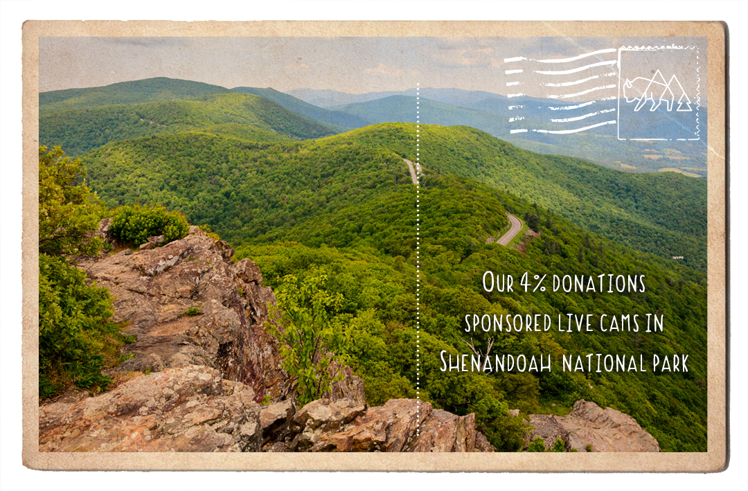 Nature Viewing Live Cams in Shenandoah National Park