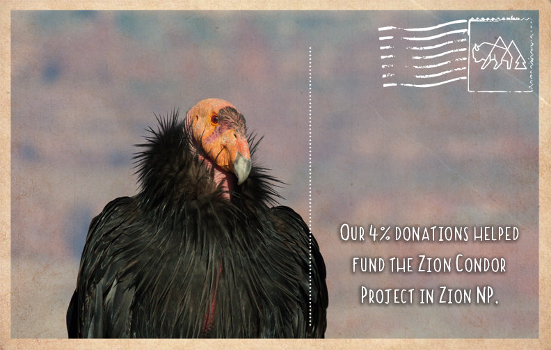 Zion Condor Project