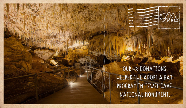 Bat Research at Jewel Cave National Monument